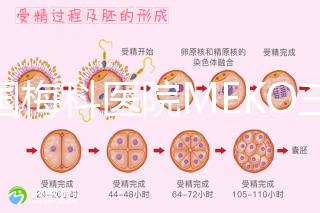 泰國梅科醫院MEKO三代試管嬰兒，不靠中介翻譯安心好孕