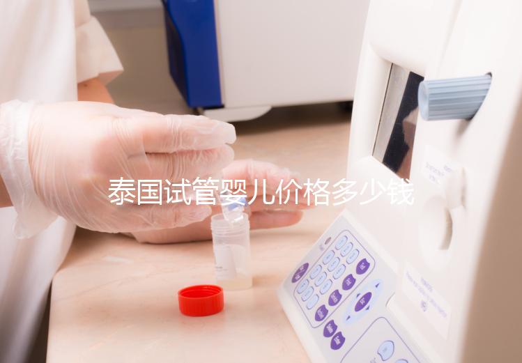 泰國試管嬰兒價格多少錢，2025年費用詳情解讀