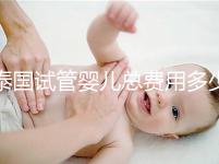 泰國試管嬰兒總費用多少(泰國試管嬰兒總費用多少錢)