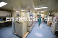 泰國試管嬰兒攻略(泰國試管嬰兒攻略全套)