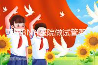 泰國(guó)BNH醫(yī)院做試管嬰兒到底怎么樣？包成功是真是假？