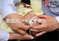 泰國(guó)2024年試管嬰兒攻略索引:證書,結(jié)婚證是硬條件