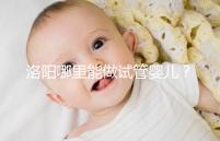 洛陽哪里能做試管嬰兒？還想了解費用和成功率看這里