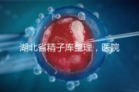 湖北省精子庫整理,醫院地址、排名、供精費用這都有