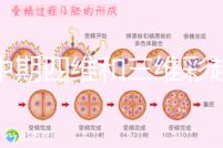 孕中期四維和三維彩超檢查區(qū)別真不小,看完便知誰(shuí)更好