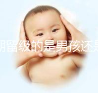 孕期留級(jí)的是男孩還是女孩別瞎猜,生兒子多是偶然或謠傳