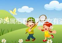 孕媽屬相看生男生女有講究，方法沒找對測試結果有誤差