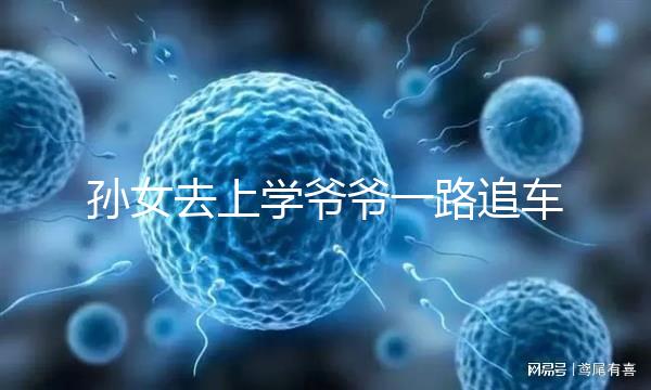 孫女去上學爺爺一路追車告別,網友:上了年紀淚點更低了