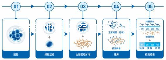安徽地中海貧血多不多戳，合肥比例低也要早發(fā)現(xiàn)早治療