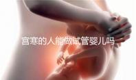 宮寒的人能做試管嬰兒?jiǎn)幔ㄓ袑m寒做試管能成功嗎)