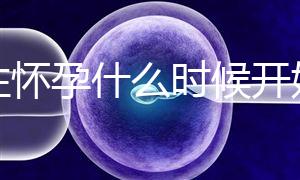 女性懷孕什么時候開始更準確？