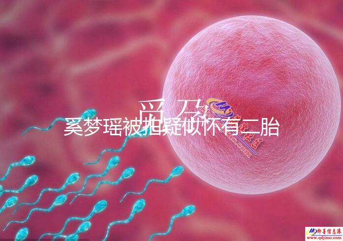 奚夢瑤被拍疑似懷有二胎,四太陪同產檢未見何猷君