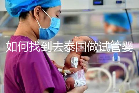 如何找到去泰國做試管嬰兒的本地翻譯？內部搜索可靠的本地翻譯方法分析