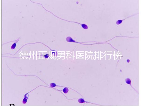 德州正規男科醫院排行榜分享！2024哪個最好一看便知