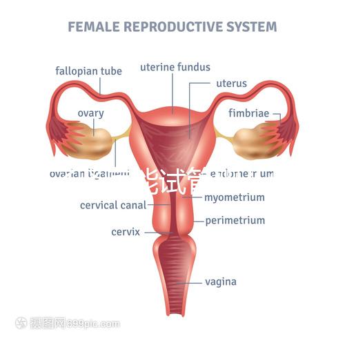 得了腎病能試管嬰兒懷孕嗎？哪些腎臟病不適宜懷孕？