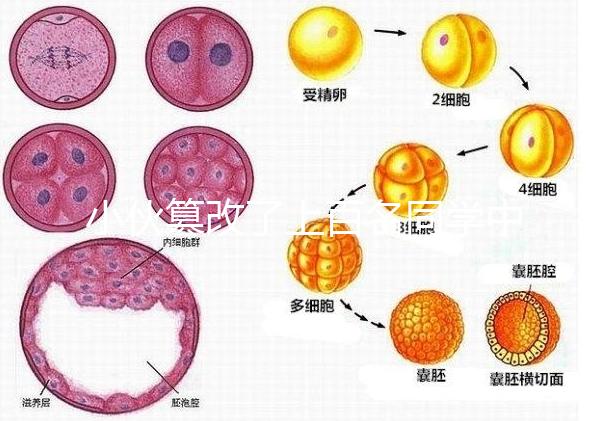 小伙篡改了上百名同學(xué)中考志愿,這些預(yù)防知識(shí)多么重要!