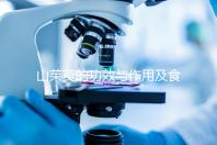 山茱萸的功效與作用及食用方法（山茱萸的功效與作用及食用方法禁忌）