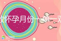 歲數懷孕月份一單一雙懷兒子幾率??？那是你沒按照農歷來