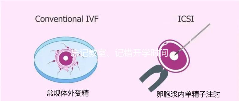 忘記教室、記錯開學(xué)時間...開學(xué)第一天孩子們囧事分享!