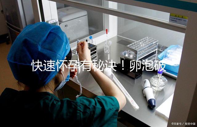 快速懷孕有秘訣！卵泡破裂后多久同房是關鍵