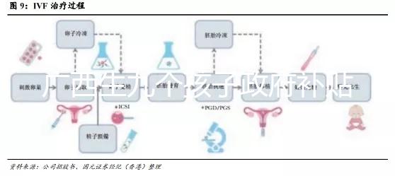 廣西生九個孩子政府補貼500真假難辨，有無補助看完明白