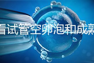 速看試管空卵泡和成熟卵泡能否區分開，這兩大技巧學起來