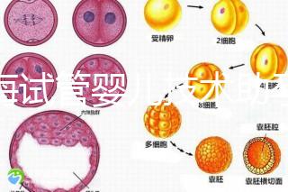 青海試管嬰兒技術助孕二胎 2家醫院費用
