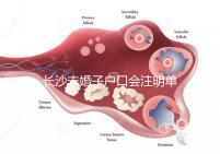 長沙未婚子戶口會注明單親家庭解密嗎？如果你不明白，來看看