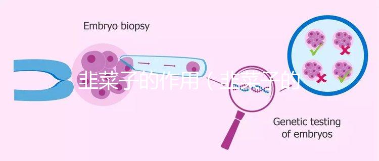 韭菜子的作用（韭菜子的作用與功效）