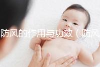防風的作用與功效(防風的作用與功效與作用)