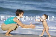 荊門二醫能做試管嬰兒？湖北省內這些城市才真的能做