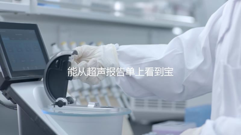 能從超聲報告單上看到寶寶的性別嗎?