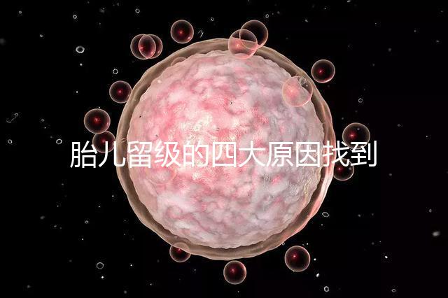 胎兒留級的四大原因找到了!多半和媽媽太懶不運(yùn)動(dòng)有關(guān)系