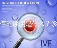 胎停的原因是什么?診斷鑒別80%是精子問題