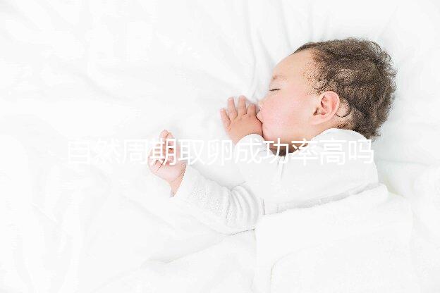 自然周期取卵成功率高嗎？過來人淺談一次成功經驗