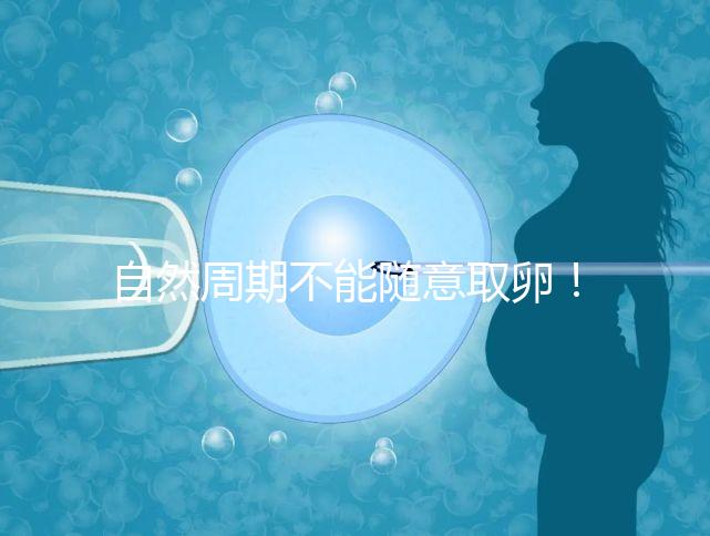 自然周期不能隨意取卵！滿足3點要求才能順利進行