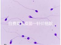 自費脊灰疫苗一針價格超200!與免費糖丸相比各有優(yōu)缺點