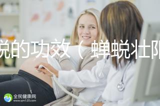 蟬蛻的功效(蟬蛻壯陽(yáng)功效作用)