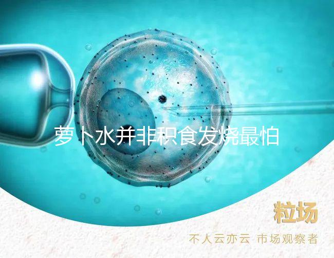 蘿卜水并非積食發燒最怕的1種水，天天煮這些喝胃口倍棒