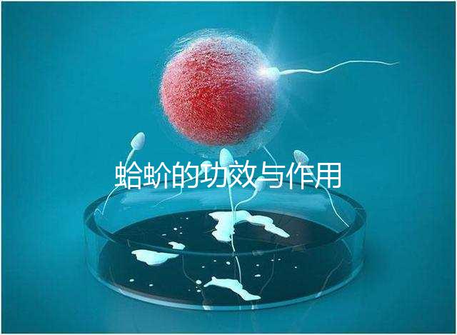 蛤蚧的功效與作用