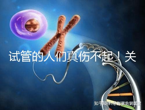 試管的人們真傷不起！關于養囊的成功率這些你得知道