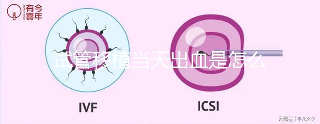 試管移植當天出血是怎么回事？收好你的“玻璃心”別太擔心