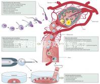 試管促排期間吃螃蟹卵泡不長(zhǎng)了?食用后究竟會(huì)怎樣一看便知