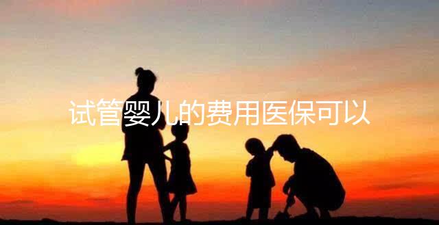 試管嬰兒的費用醫?？梢詧箐N嗎（試管嬰兒的費用醫保可以報銷嗎多少錢）