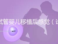 試管嬰兒移植后感覺(試管嬰兒移植后感覺下面好濕)