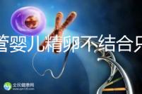 試管嬰兒精卵不結(jié)合只是基因問(wèn)題？這幾大原因告知真相