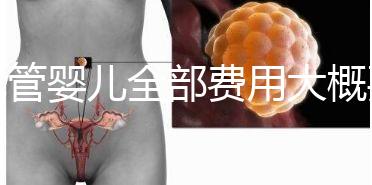 試管嬰兒全部費(fèi)用大概要多少錢_試管嬰兒前期檢查項(xiàng)目和時(shí)間