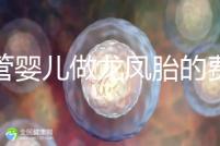 試管嬰兒做龍鳳胎的費用并不高，而且成功率也相當有保障