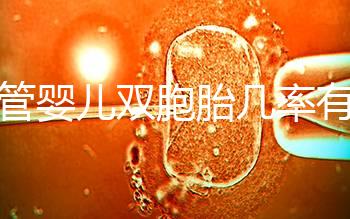 試管嬰兒雙胞胎幾率有多大(試管嬰兒雙胞胎幾率有多大啊)