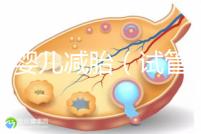 試管嬰兒減胎(試管嬰兒減胎最佳時(shí)間)